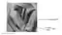 Fig. 01 - Method for reversible image data hiding