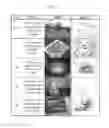 Fig. 07 - Sampling method and image processing apparatus of CS-RANSAC for estimating homography