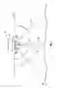 Fig. 02 - Augmented three dimensional point collection of vertical structures