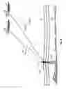 Fig. 17 - Augmented three dimensional point collection of vertical structures