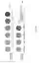 Fig. 11 - Method and apparatus for automatic cancer diagnosis scoring of tissue samples