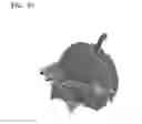 Fig. 28 - Method for extracting airways and pulmonary lobes and apparatus therefor