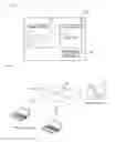 Fig. 11 - Diagnostic apparatus for lesion, image processing method in the same apparatus, and medium storing program associated with the same method