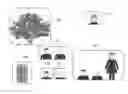 Fig. 01 - Intelligent cropping of images based on multiple interacting variables
