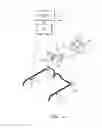 Fig. 05 - Process and device for determining the 3D coordinates of an object