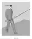 Fig. 55 - System for reproducing virtual objects