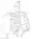 Fig. 01 - Adjustable lumbar spine assembly for crash test dummy
