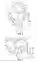 Fig. 05 - Adjustable lumbar spine assembly for crash test dummy