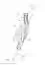 Fig. 01 - Omnidirectional neck assembly for crash test dummy