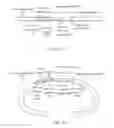 Fig. 34 - Display apparatus and electronic device