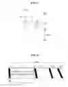 Fig. 06 - Organic light emitting diode display and method for driving the same