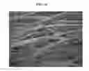 Fig. 11 - Organic light emitting diode display and method for sensing characteristic thereof