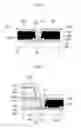 Fig. 07 - Display device