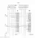 Fig. 06 - ORGANIC LIGHT-EMITTING DISPLAY AND METHOD OF DRIVING THE SAME