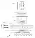 Fig. 01 - Isolated word training and detection using generated phoneme concatenation models of audio inputs