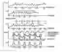 Fig. 01 - Voice processing method and apparatus, and recording medium therefor