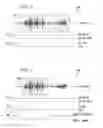 Fig. 05 - System and method for enhancing speech activity detection using facial feature detection