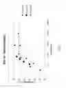 Fig. 04 - Nanostructure Dispersions And Transparent Conductors