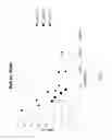 Fig. 05 - Nanostructure Dispersions And Transparent Conductors