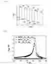 Fig. 07 - MAGNETOCALORIC MATERIALS CONTAINING B