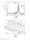 Fig. 05 - MAGNETOCALORIC MATERIALS CONTAINING B