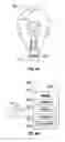 Fig. 05 - Liquid filament for incandescent lights