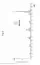 Fig. 04 - Method for analysis of sample and apparatus therefor