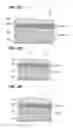 Fig. 15 - Film forming method