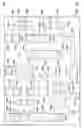 Fig. 06 - Elongated contacts using litho-freeze-litho-etch process