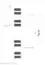 Fig. 08 - Device without zero mark layer