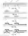 Fig. 08 - Feedthrough assemblies