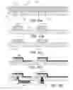 Fig. 13 - Feedthrough assemblies