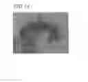 Fig. 14 - Method for forming identification marks on refractory material single crystal substrate, and refractory material single crystal substrate