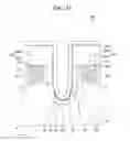 Fig. 34 - Semiconductor device and method for fabricating the same