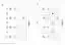 Fig. 04 - FinFET with multiple dislocation planes and method for forming the same