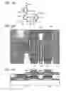 Fig. 15 - Semiconductor device