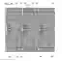Fig. 26 - Display device