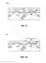 Fig. 08 - Selector-based non-volatile cell fabrication utilizing IC-foundry compatible process