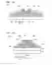 Fig. 12 - Oxide semiconductor film