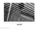 Fig. 03 - PACKAGING STRUCTURE OF COLOR TUNABLE SOLAR CELL