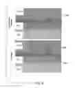 Fig. 08 - Photovoltaic Device and Method of Making