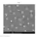 Fig. 04 - Wavelength converting structure for near-infrared rays and solar cell comprising the same