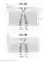 Fig. 04 - Strain-control heterostructure growth