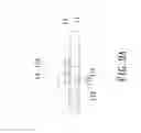 Fig. 12 - LED PACKAGE STRUCTURE AND THE MANUFACTURING METHOD OF THE SAME