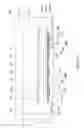 Fig. 22 - Light-emitting device