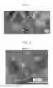 Fig. 02 - THERMOELECTRIC CONVERSION MATERIAL, MANUFACTURING METHOD OF THE SAME, AND THERMOELECTRIC CONVERSION DEVICE USING THE SAME