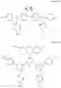 Fig. 30 - Polymer and organic electronic device