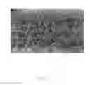 Fig. 03 - Light emitting diode