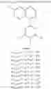 Fig. 288 - Organic electroluminescent materials and devices