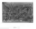 Fig. 03 - Method of making N-type thin film transistor
